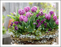 �u�Ԃ̕ǎ��v