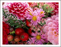 �u�Ԃ̕ǎ��v