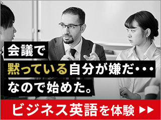 ��c�Œʗp����r�W�l�X�p��b��g�ɕt����I