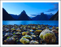 �u���E�̕��i�ǎ��v