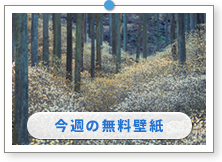 �u�Ȗ،��@�~�c�}�^�̉ԁv�b�t�̕��i�ǎ��b������̉摜�́u�ǎ��v���[���g�v�ɂ���܂��B