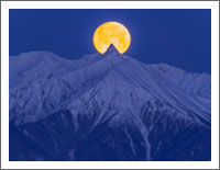 �u��i�ǎ��̗� �t ��1�e�v