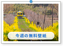 �u��t���@�����ݓS���v�b�t�̕��i�ǎ��b������̉摜�́u�ǎ��v���[���g�v�ɂ���܂��B