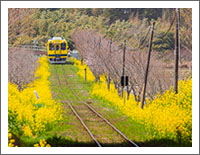 �u�t�̕��i�ǎ��v