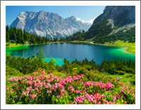 �u���E�̕��i�ǎ��v