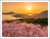 �u�t�̕��i�ǎ��v