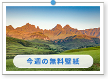 �u��A�t���J���a���@�h���P���X�o�[�O�����v�b���E�̕��i�ǎ��b������̉摜�́u�ǎ��v���[���g�v�ɂ���܂��B