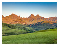 �u���E�̕��i�ǎ��v