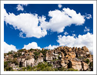 �u���E�̕��i�ǎ��v