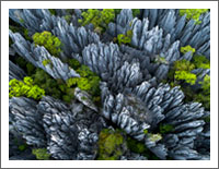 �u���E�̕��i�ǎ��v