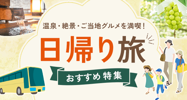 �yFMV�L���b�V���o�b�N���[���z���A�藷�������ߓ��W