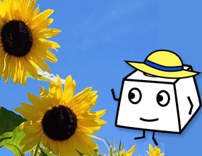 �ċx�݃^�C�s���O�y���H�I�^�b�`�^�C�s���O�z