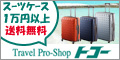 �X�[�c�P�[�X/���s�p�i/�o�b�O�̐��X�g�R�[