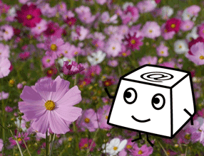 �H�̉ԃ^�C�s���O�y���H�I�^�b�`�^�C�s���O�z