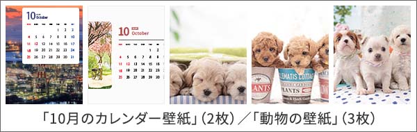�u10���̃J�����_�[�ǎ��v�i2���j�^�u�����̕ǎ��v�i3���j