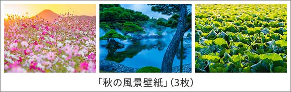 �u�H�̕��i�ǎ��v�i3���j