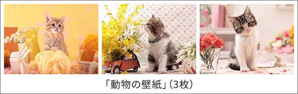 「動物の壁紙」(3枚)