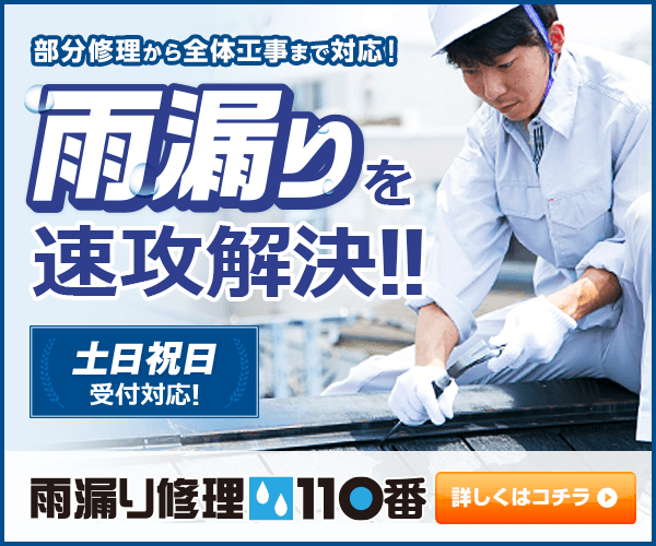 雨漏り修理110番