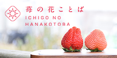 苺の花ことば