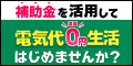 おひさまマーケット