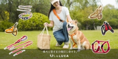 LaLUCA