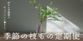 Flower&Plants tette