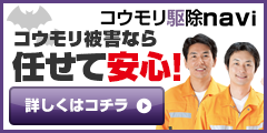 コウモリ駆除navi