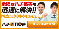 ハチ110番 