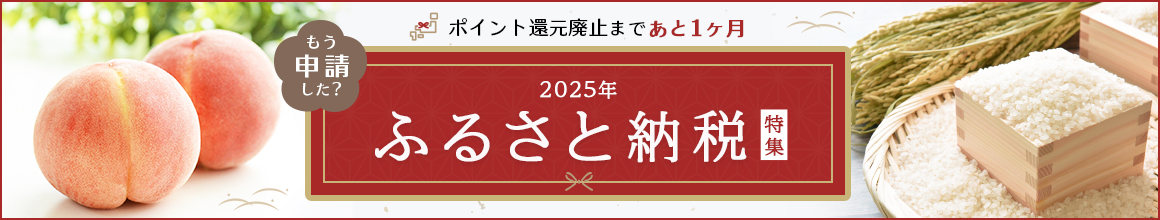 【ポイント還元廃止まであと1ヶ月】もう申請した？2025年ふるさと納税特集