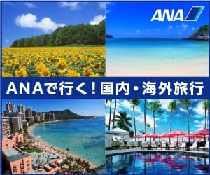 【ANAトラベラーズ】