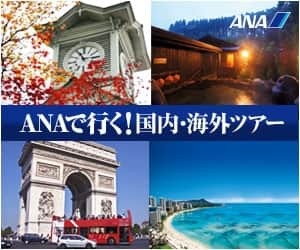【ANAトラベラーズ】