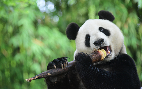 壁紙ダウンロード My Cloud 富士通パソコン
