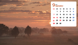 栃木県 渡良瀬遊水地