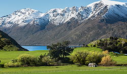 ニュージーランド ワナカ湖