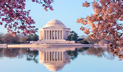 ワシントンD.C.　ジェファーソン記念館とサクラ