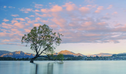ニュージーランド ワナカ湖