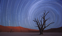 ナミビア デッドフレイ