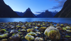 ニュージーランド ミルフォード・サウンド