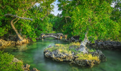 バヌアツ共和国 タンナ島