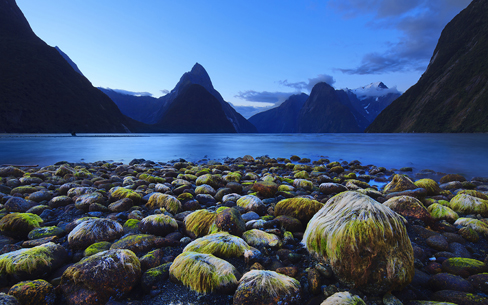 ニュージーランド　ミルフォード・サウンド