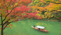 京都府 嵐山の屋形船