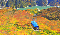 富山県　紅葉の立山ロープウェイ