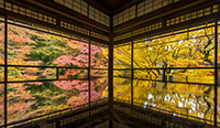 京都府　瑠璃光院