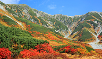 富山県　立山町　雷鳥沢より別山の紅葉