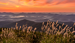 壁紙ダウンロード My Cloud 富士通パソコン