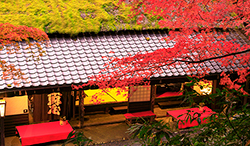 京都府 京都市 紅葉の鮎茶屋