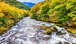 栃木県　奥日光　紅葉の竜頭の滝