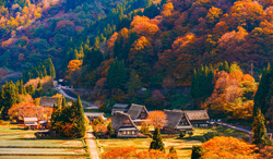 富山県　紅葉の五箇山菅沼合掌集落