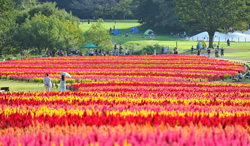 埼玉県 国営武蔵丘陵森林公園