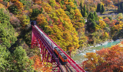 富山県 新山彦橋を渡る黒部峡谷鉄道のトロッコ電車
